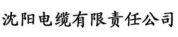 我的陪读媽媽电缆厂logo